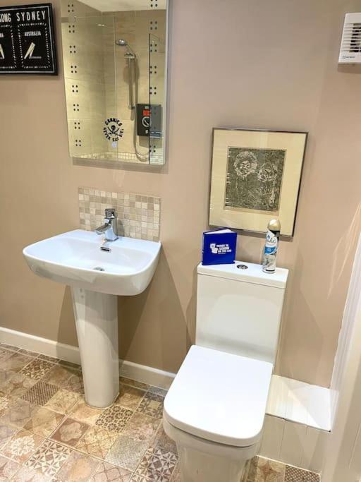 Bear Cottage, Tyn Y Cwm Eglwys-Fach Ngoại thất bức ảnh