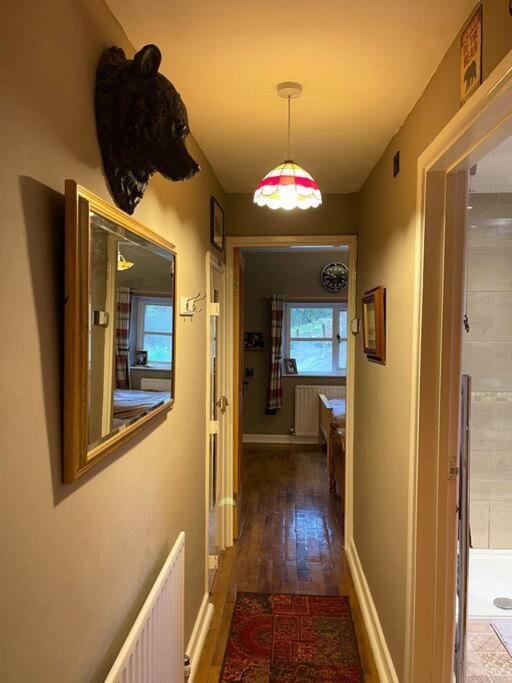 Bear Cottage, Tyn Y Cwm Eglwys-Fach Ngoại thất bức ảnh